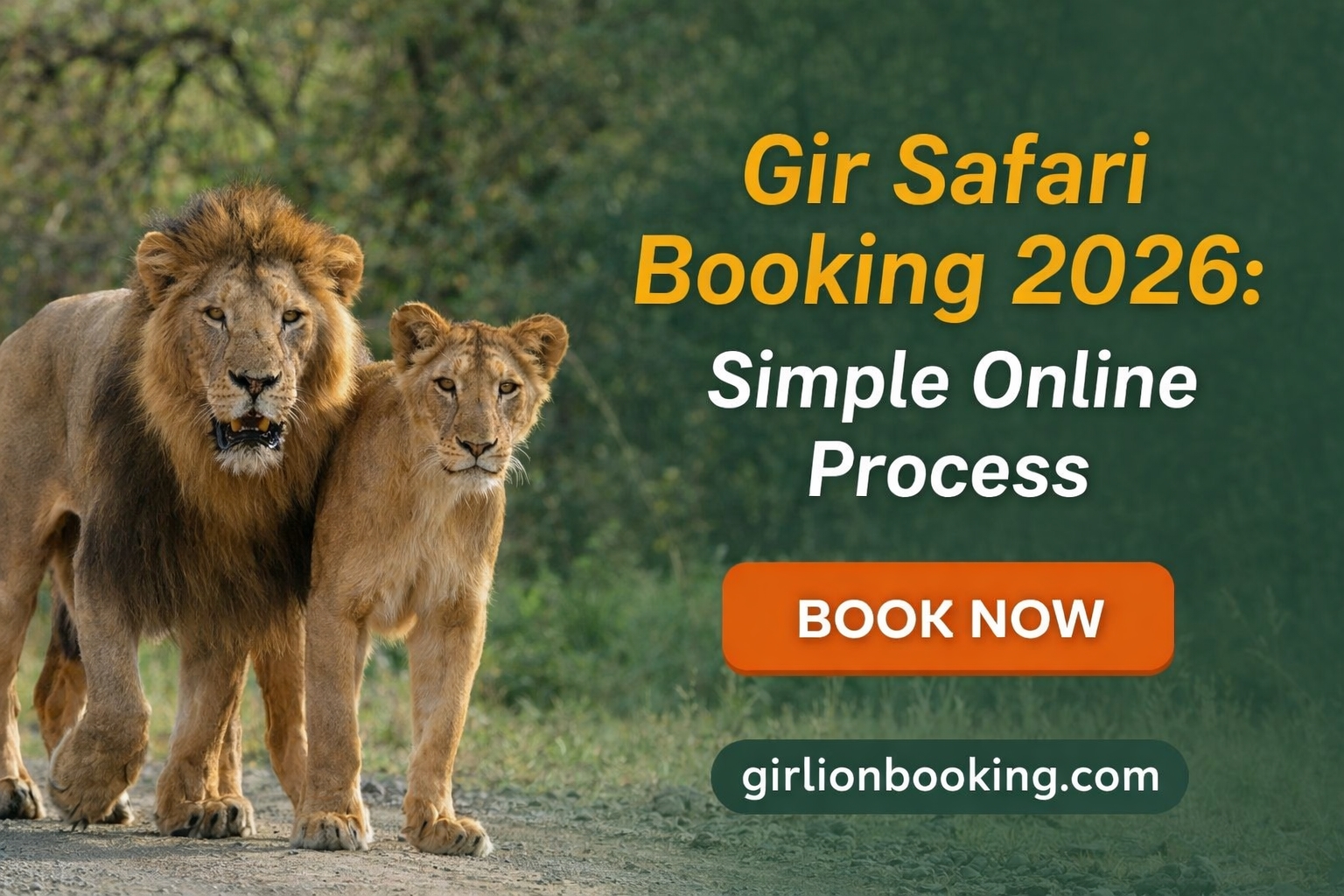 Safari Tour Booking