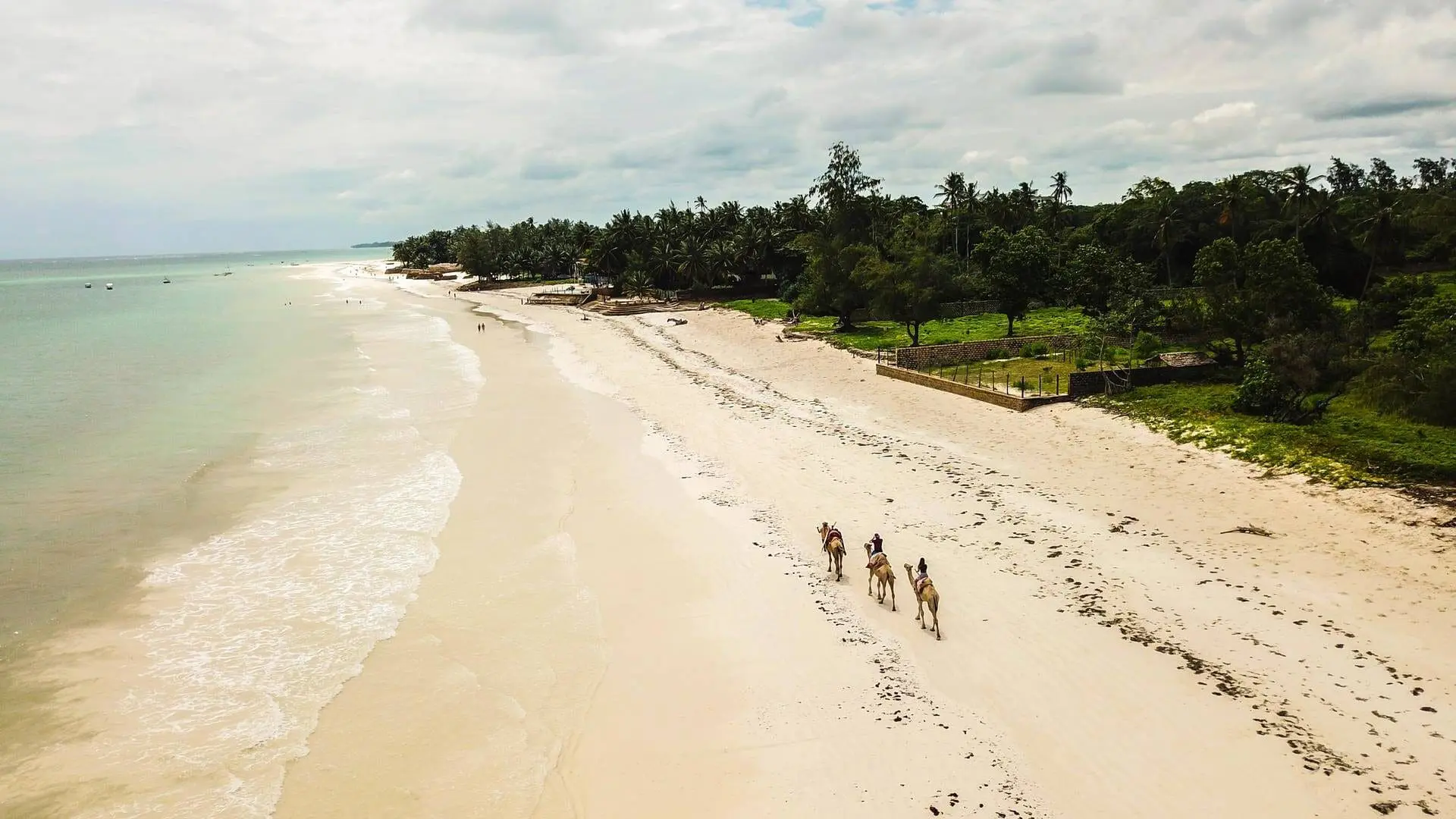 Diani Beach Paradise