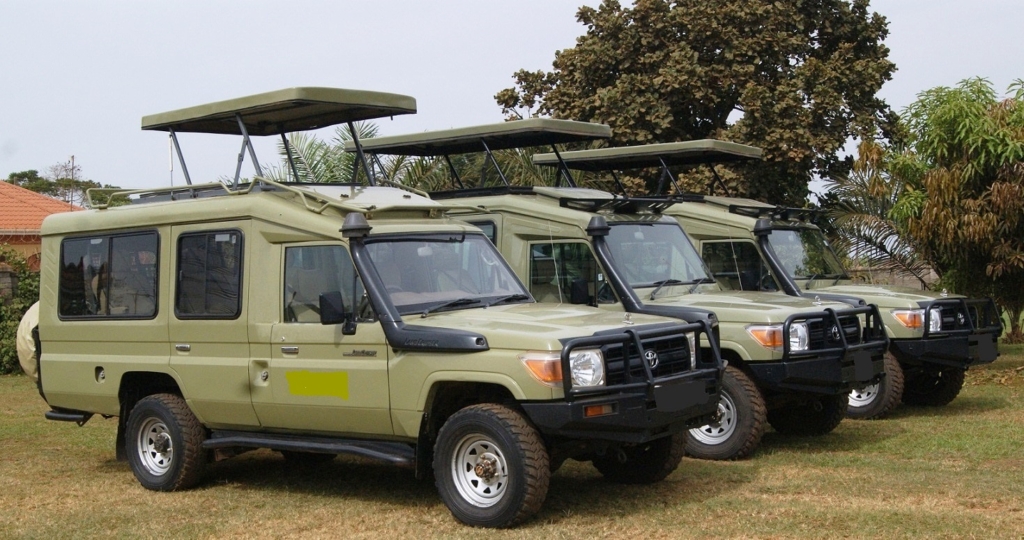 Luxury Safari Jeep Rental